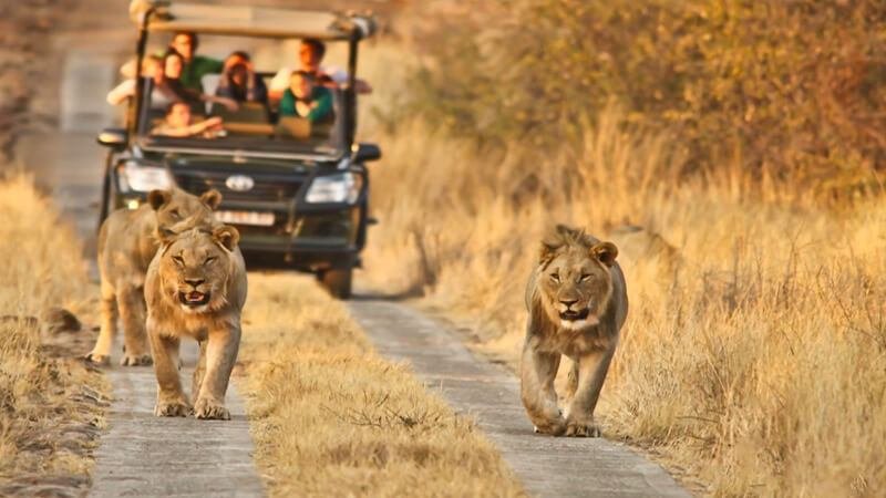 South Africa 10 Nights 11 Days Package Details